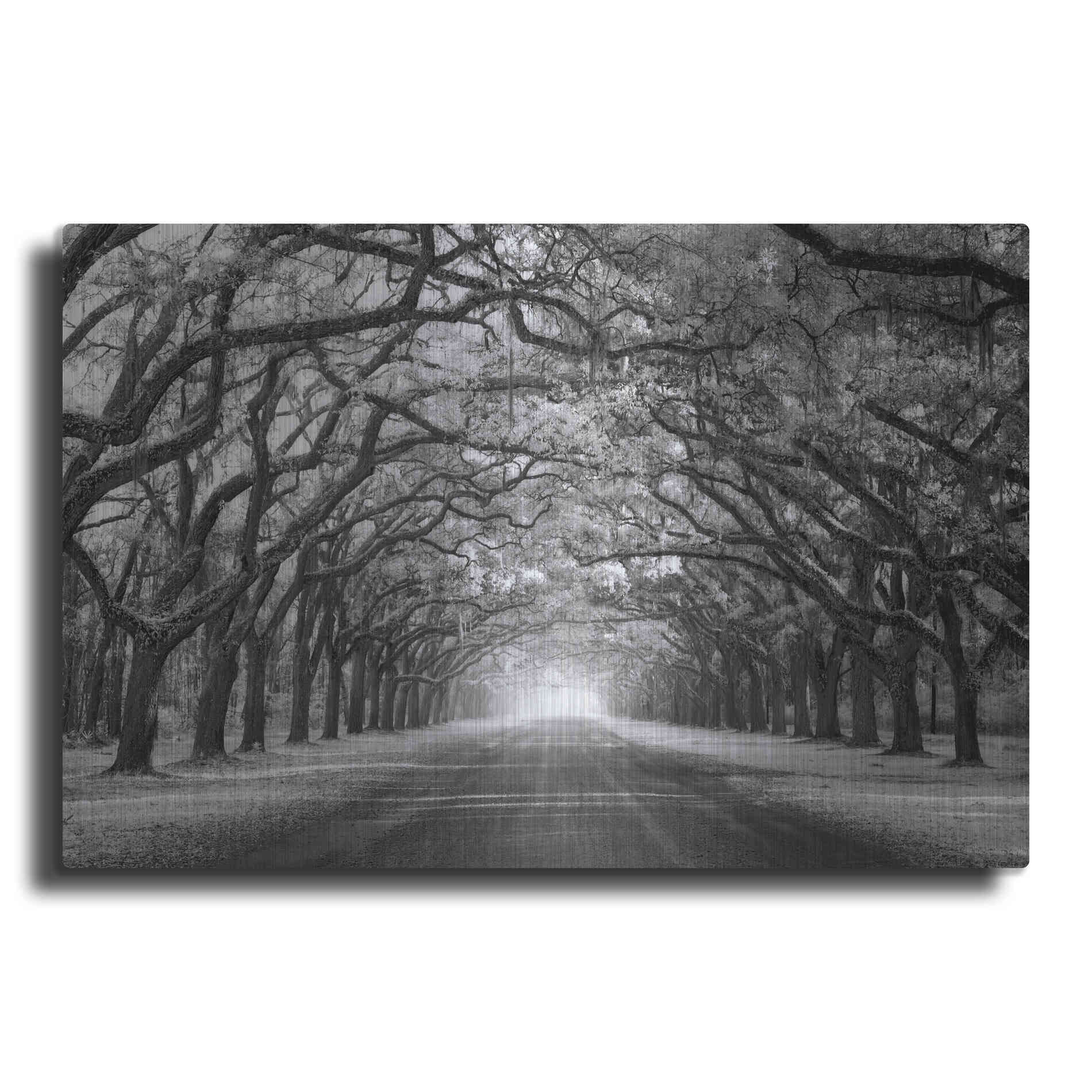 Luxe Metal Art 'Wormsloe Inf Light' by Mike Jones, Metal Wall Art