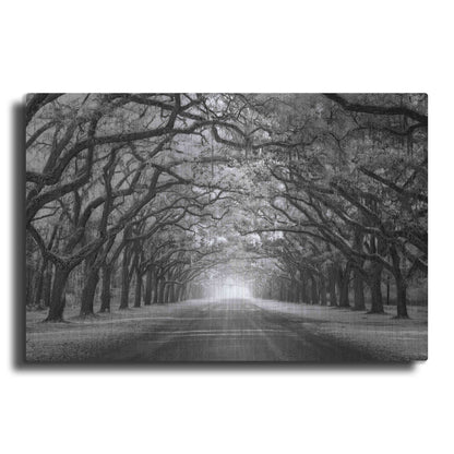 Luxe Metal Art 'Wormsloe Inf Light' by Mike Jones, Metal Wall Art