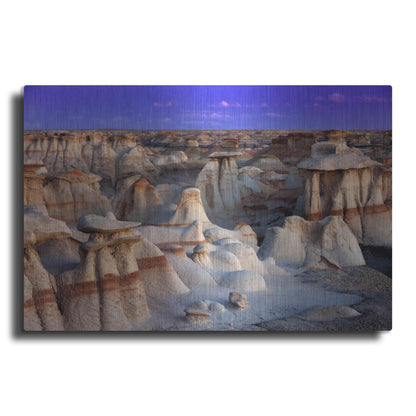 Luxe Metal Art 'Bisti Badlands' by Mike Jones, Metal Wall Art