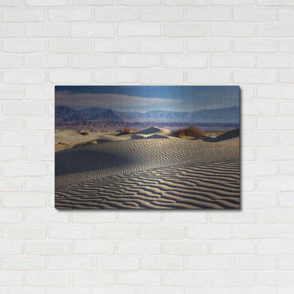 Luxe Metal Art 'Death Valley Mesquite Dunes' by Mike Jones, Metal Wall Art,36x24