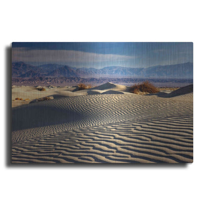 Luxe Metal Art 'Death Valley Mesquite Dunes' by Mike Jones, Metal Wall Art