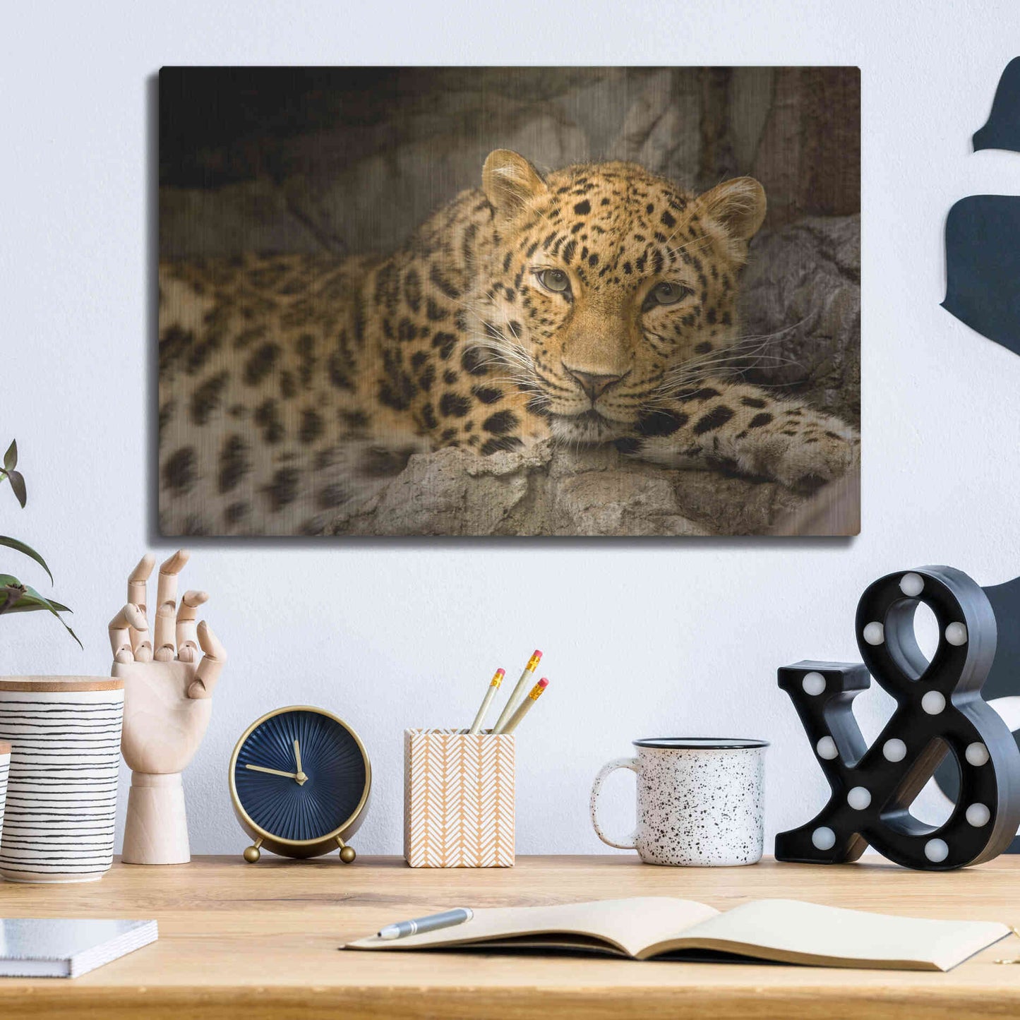Luxe Metal Art 'Denver Zoo Snow Leopard' by Mike Jones, Metal Wall Art,16x12
