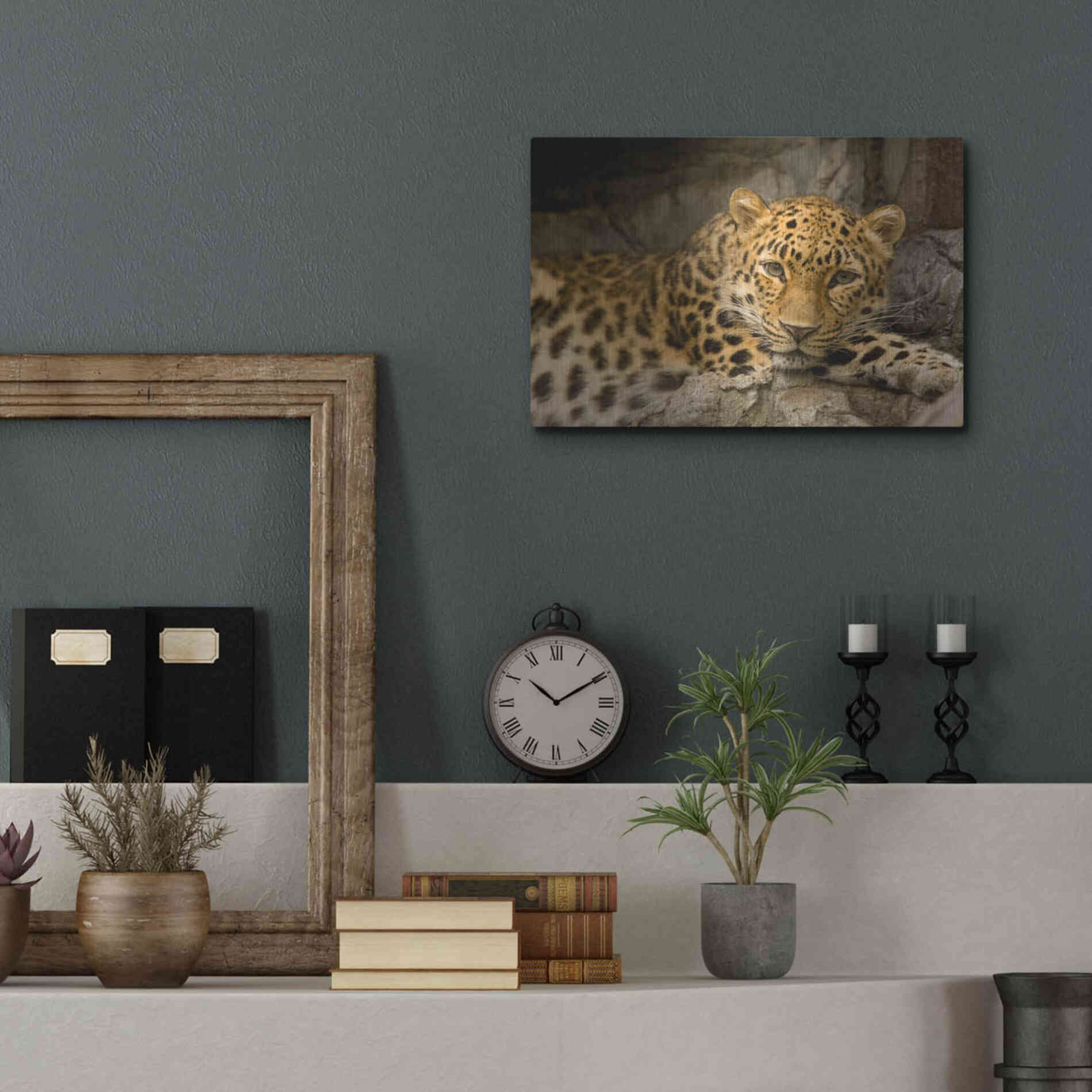 Luxe Metal Art 'Denver Zoo Snow Leopard' by Mike Jones, Metal Wall Art,16x12