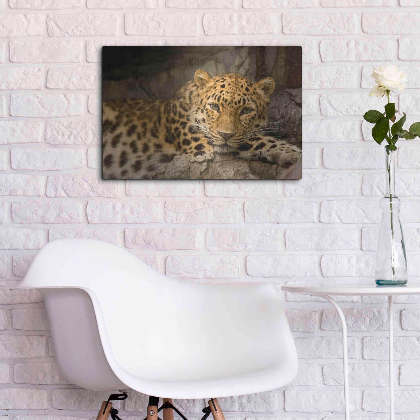 Luxe Metal Art 'Denver Zoo Snow Leopard' by Mike Jones, Metal Wall Art,24x16