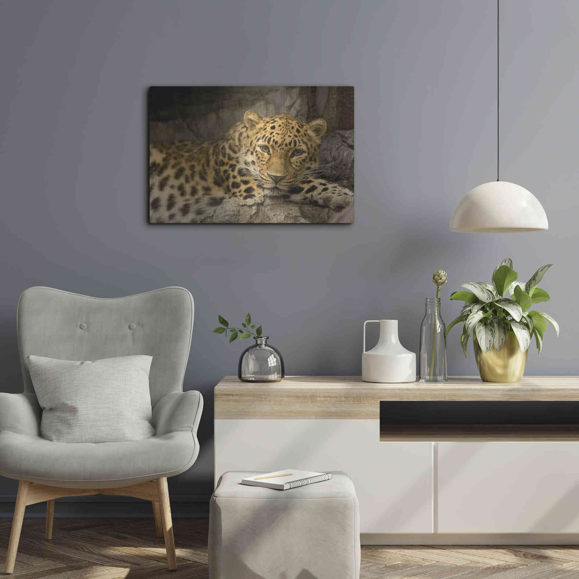 Luxe Metal Art 'Denver Zoo Snow Leopard' by Mike Jones, Metal Wall Art,24x16