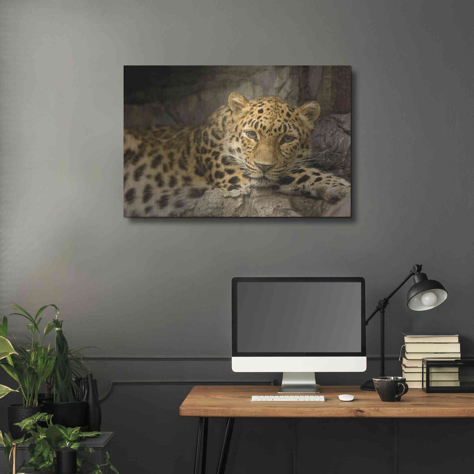 Luxe Metal Art 'Denver Zoo Snow Leopard' by Mike Jones, Metal Wall Art,36x24