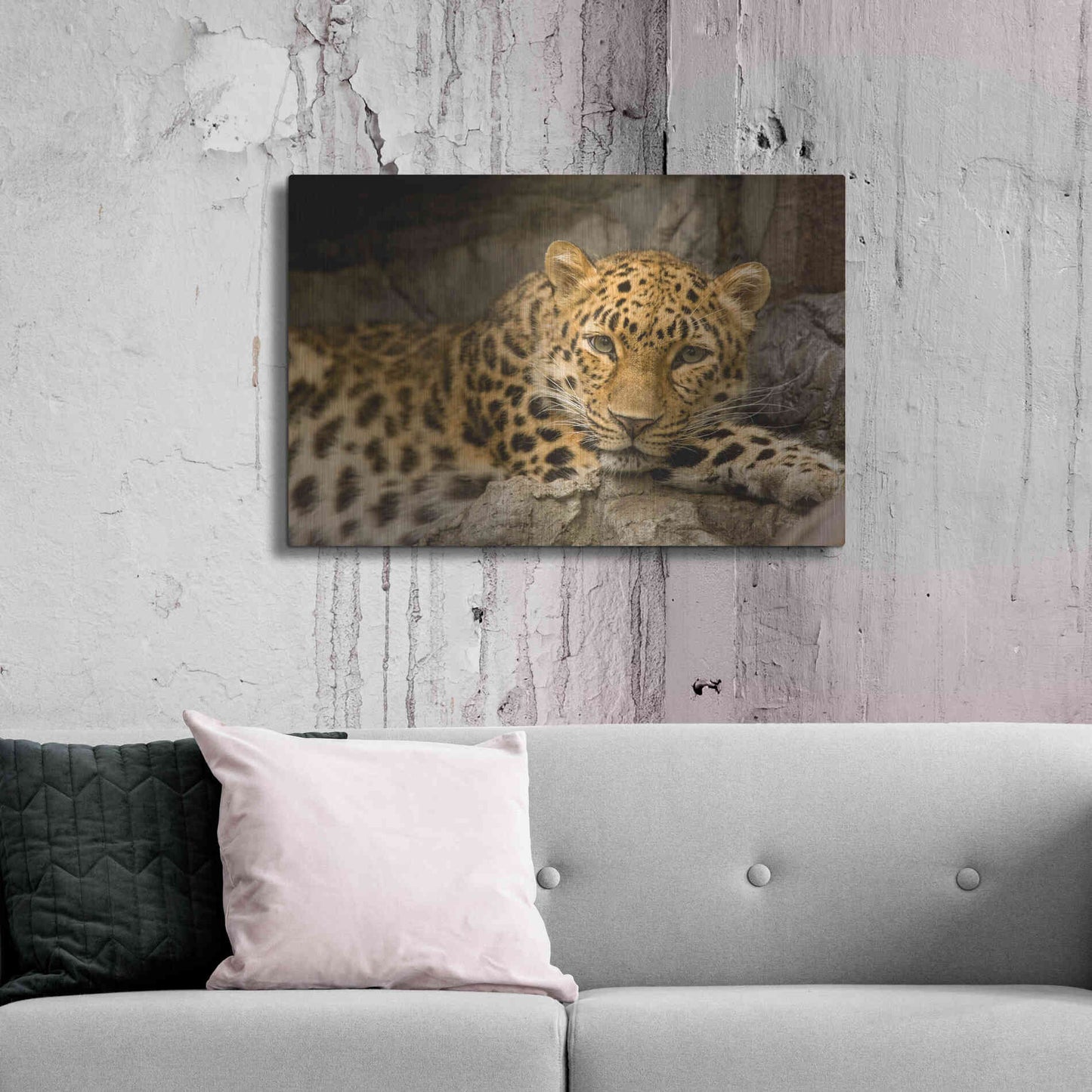 Luxe Metal Art 'Denver Zoo Snow Leopard' by Mike Jones, Metal Wall Art,36x24