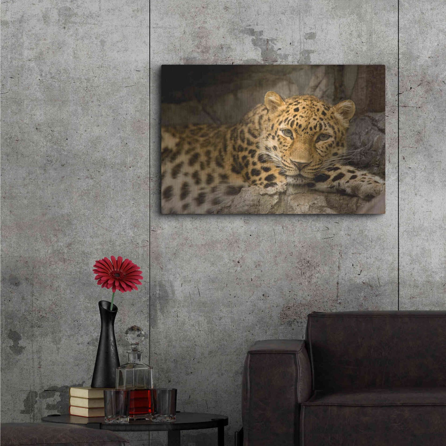 Luxe Metal Art 'Denver Zoo Snow Leopard' by Mike Jones, Metal Wall Art,36x24