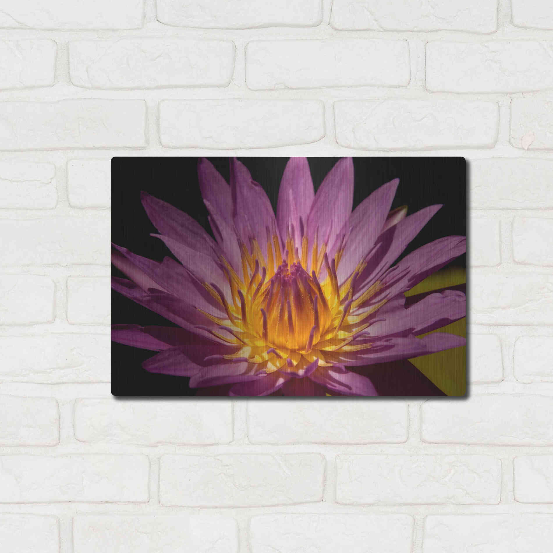 Luxe Metal Art 'Fairchild Gardens Lily' by Mike Jones, Metal Wall Art,16x12