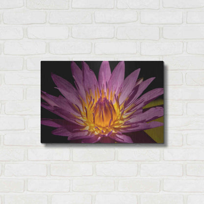 Luxe Metal Art 'Fairchild Gardens Lily' by Mike Jones, Metal Wall Art,24x16