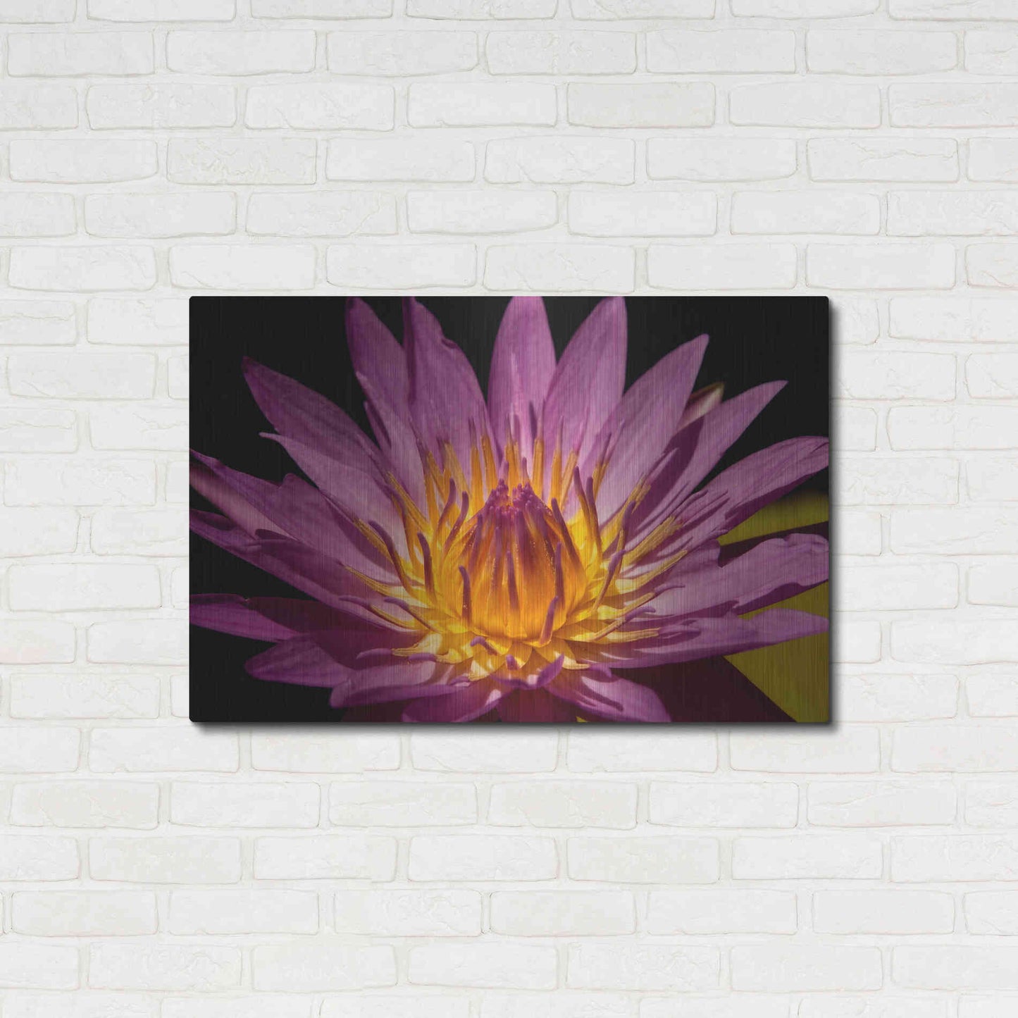 Luxe Metal Art 'Fairchild Gardens Lily' by Mike Jones, Metal Wall Art,36x24