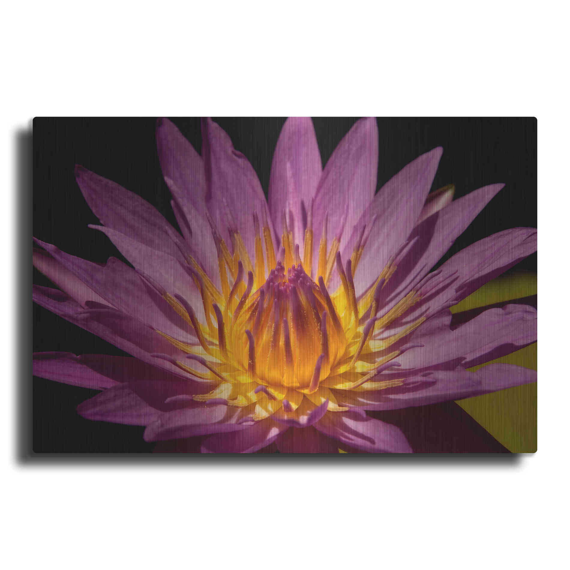 Luxe Metal Art 'Fairchild Gardens Lily' by Mike Jones, Metal Wall Art