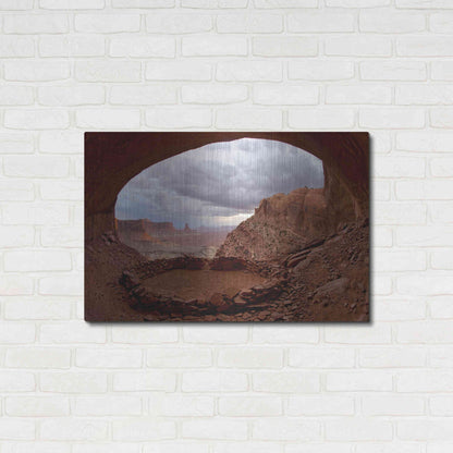 Luxe Metal Art 'False Kive Fisheye' by Mike Jones, Metal Wall Art,36x24