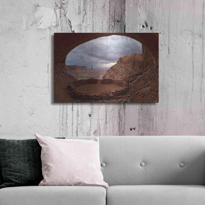 Luxe Metal Art 'False Kive Fisheye' by Mike Jones, Metal Wall Art,36x24