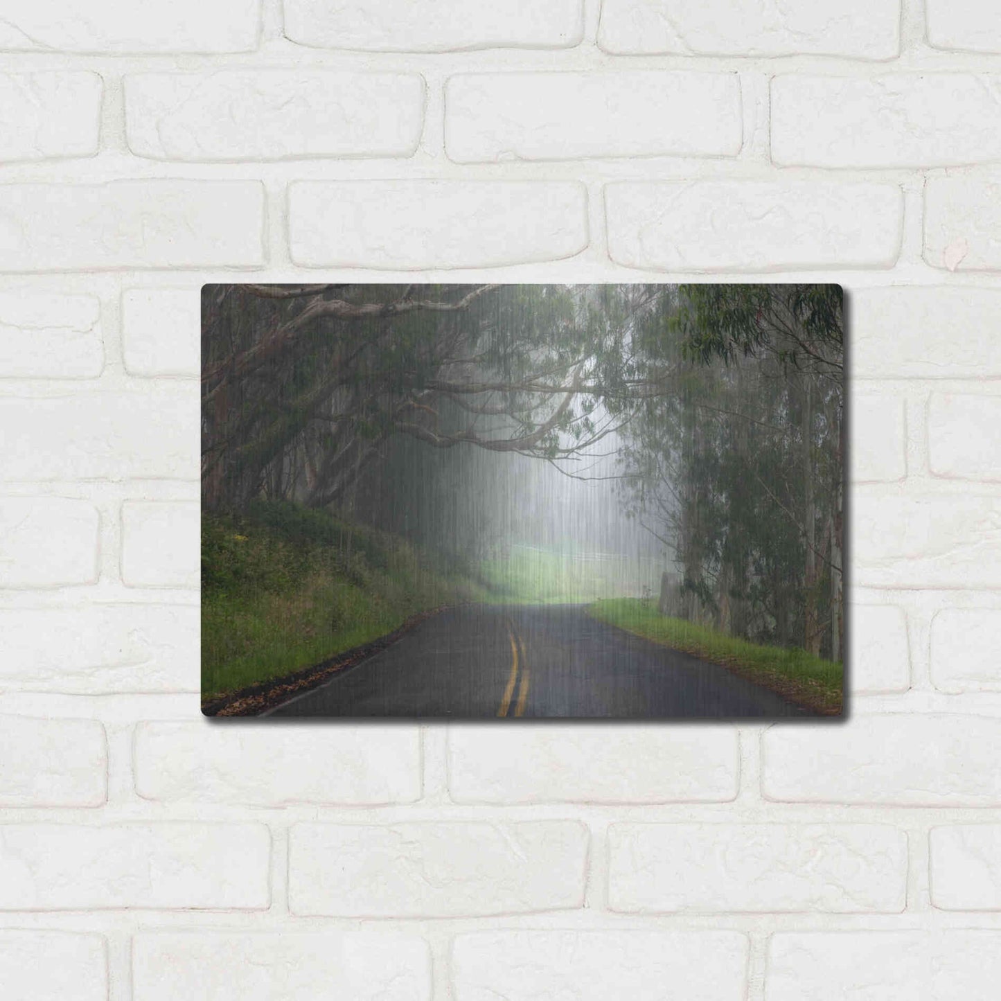 Luxe Metal Art 'Foggy Road near Dillon Beach' by Mike Jones, Metal Wall Art,16x12