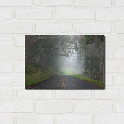 Luxe Metal Art 'Foggy Road near Dillon Beach' by Mike Jones, Metal Wall Art,16x12