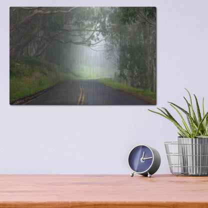 Luxe Metal Art 'Foggy Road near Dillon Beach' by Mike Jones, Metal Wall Art,16x12