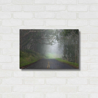 Luxe Metal Art 'Foggy Road near Dillon Beach' by Mike Jones, Metal Wall Art,24x16