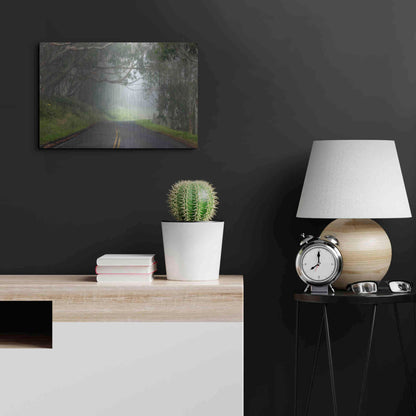 Luxe Metal Art 'Foggy Road near Dillon Beach' by Mike Jones, Metal Wall Art,24x16