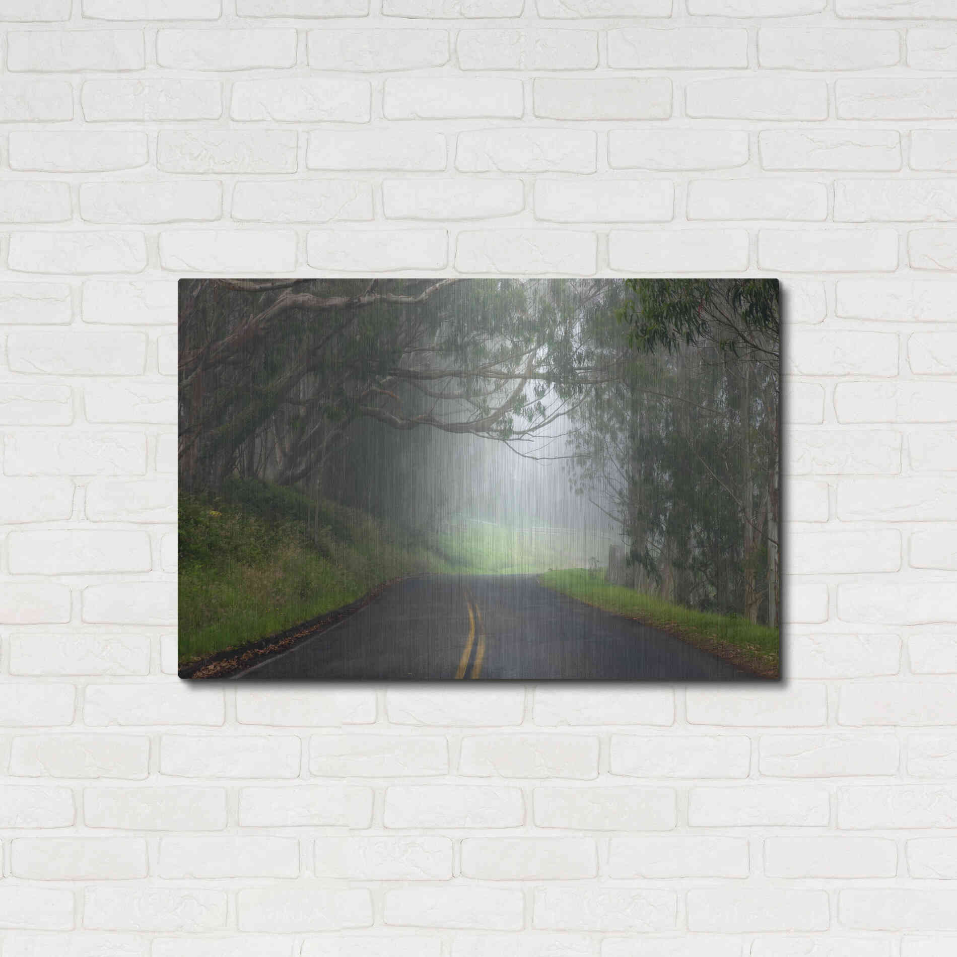 Luxe Metal Art 'Foggy Road near Dillon Beach' by Mike Jones, Metal Wall Art,36x24