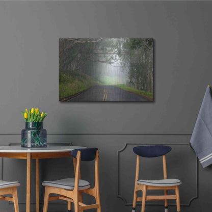 Luxe Metal Art 'Foggy Road near Dillon Beach' by Mike Jones, Metal Wall Art,36x24