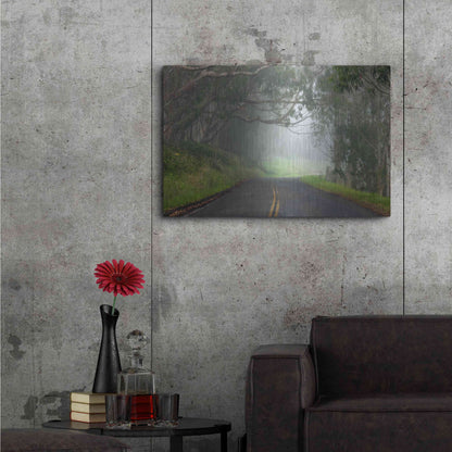 Luxe Metal Art 'Foggy Road near Dillon Beach' by Mike Jones, Metal Wall Art,36x24