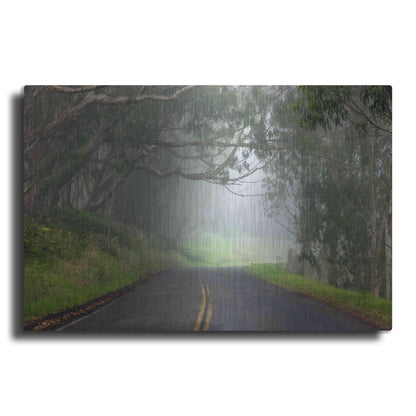 Luxe Metal Art 'Foggy Road near Dillon Beach' by Mike Jones, Metal Wall Art
