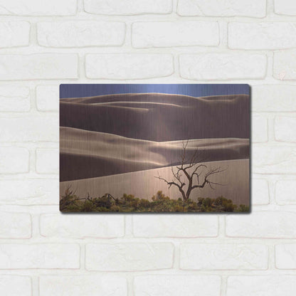 Luxe Metal Art 'Great Sand Dunes NP Tree' by Mike Jones, Metal Wall Art,16x12