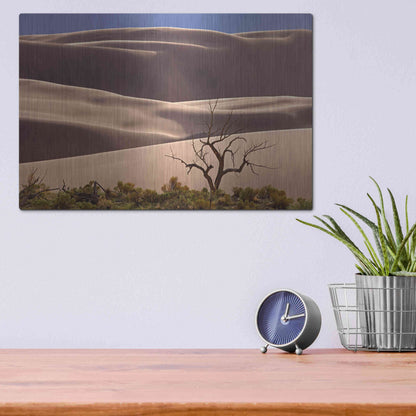Luxe Metal Art 'Great Sand Dunes NP Tree' by Mike Jones, Metal Wall Art,16x12