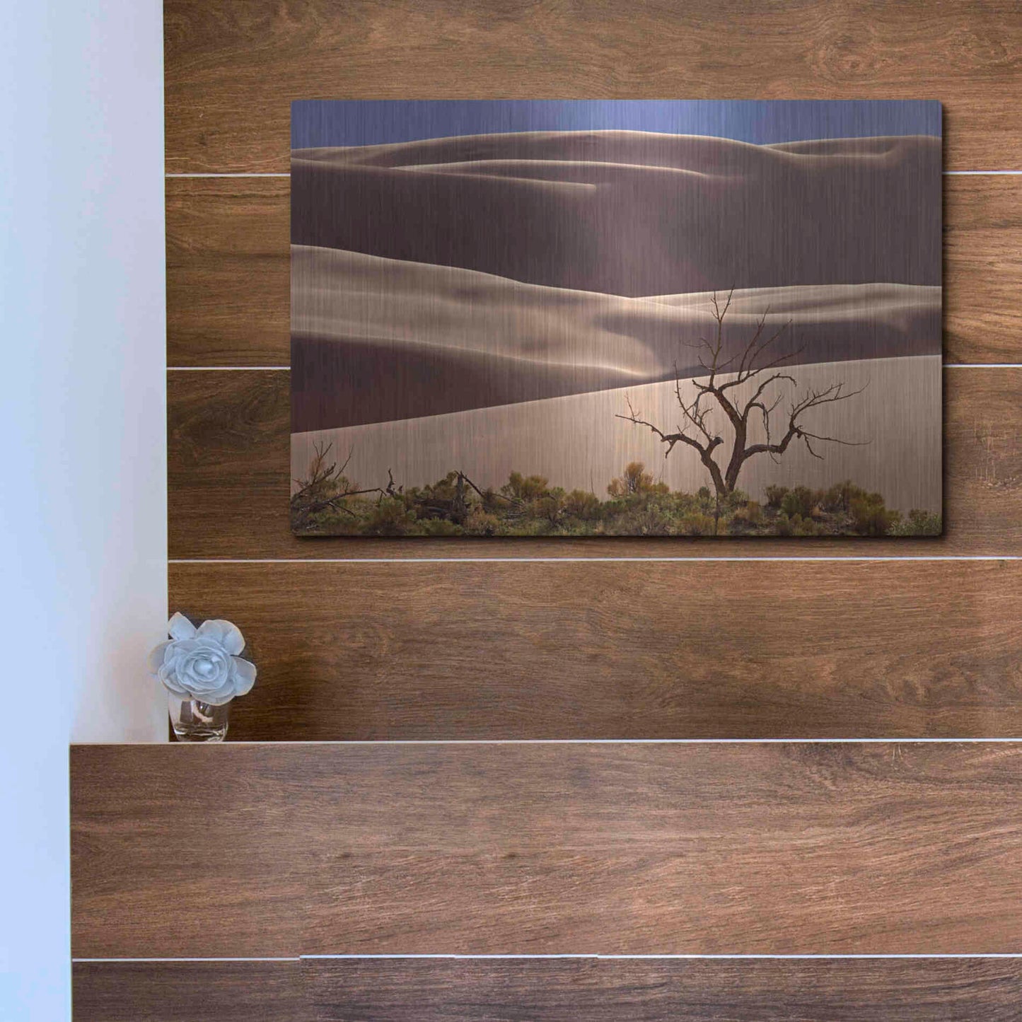 Luxe Metal Art 'Great Sand Dunes NP Tree' by Mike Jones, Metal Wall Art,16x12