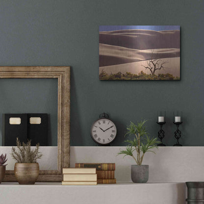 Luxe Metal Art 'Great Sand Dunes NP Tree' by Mike Jones, Metal Wall Art,16x12