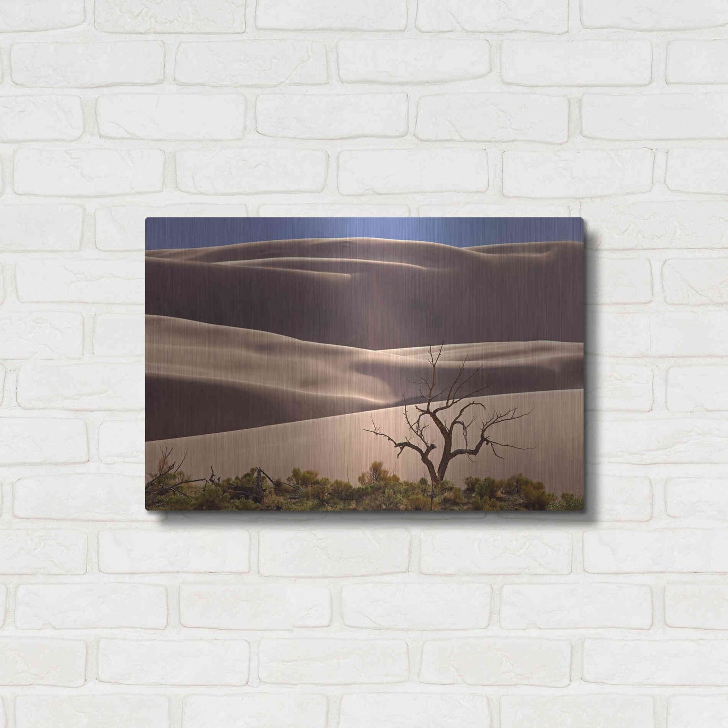 Luxe Metal Art 'Great Sand Dunes NP Tree' by Mike Jones, Metal Wall Art,24x16