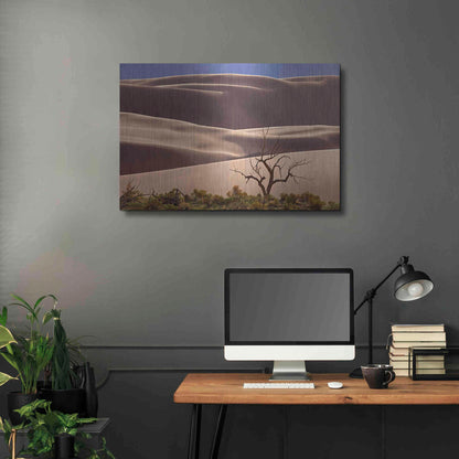 Luxe Metal Art 'Great Sand Dunes NP Tree' by Mike Jones, Metal Wall Art,36x24