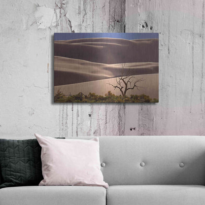 Luxe Metal Art 'Great Sand Dunes NP Tree' by Mike Jones, Metal Wall Art,36x24