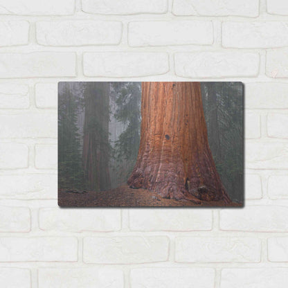 Luxe Metal Art 'Kings Canyon' by Mike Jones, Metal Wall Art,16x12