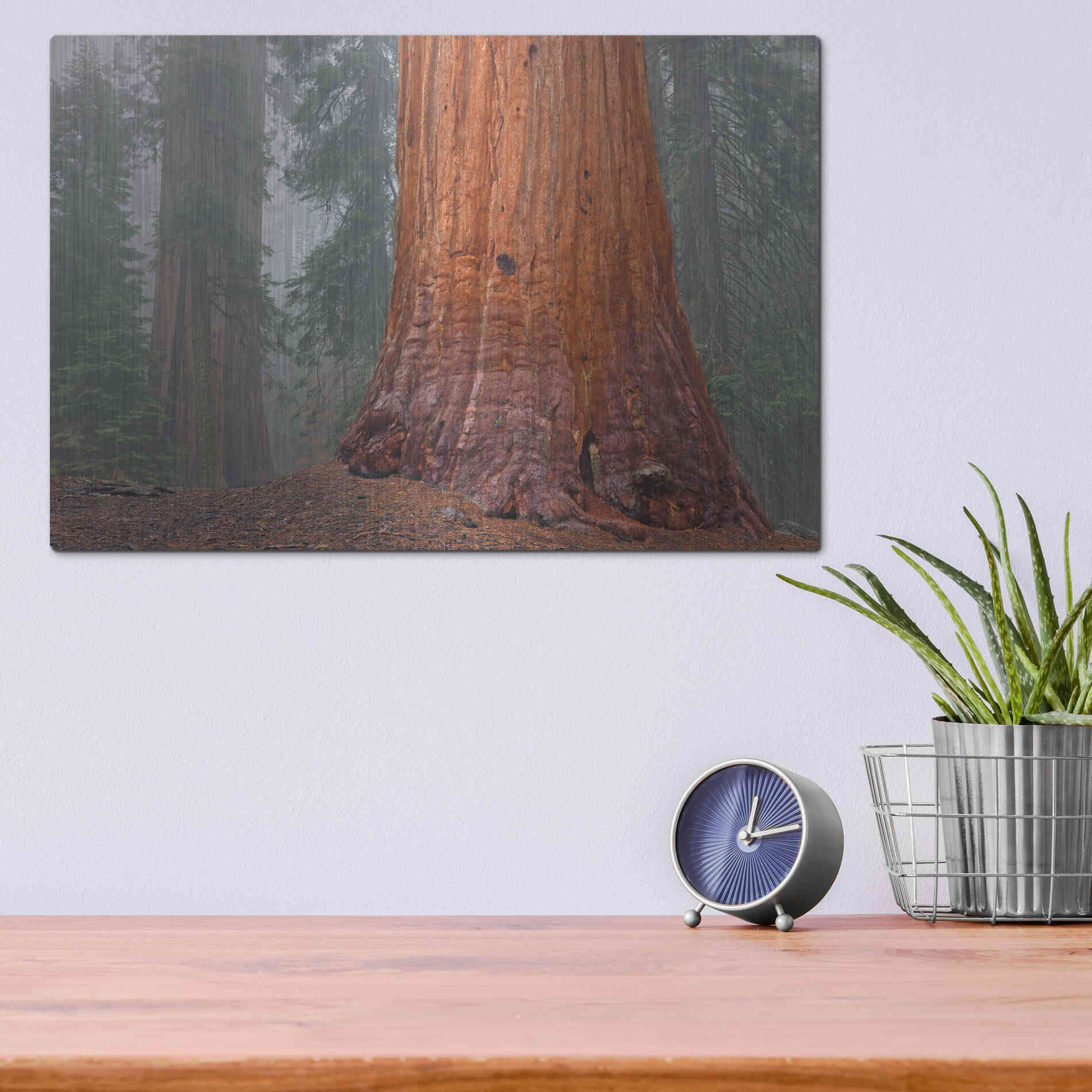 Luxe Metal Art 'Kings Canyon' by Mike Jones, Metal Wall Art,16x12
