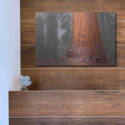 Luxe Metal Art 'Kings Canyon' by Mike Jones, Metal Wall Art,16x12