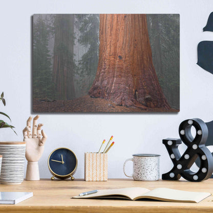 Luxe Metal Art 'Kings Canyon' by Mike Jones, Metal Wall Art,16x12