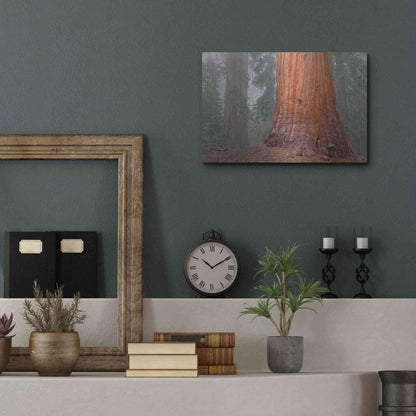 Luxe Metal Art 'Kings Canyon' by Mike Jones, Metal Wall Art,16x12