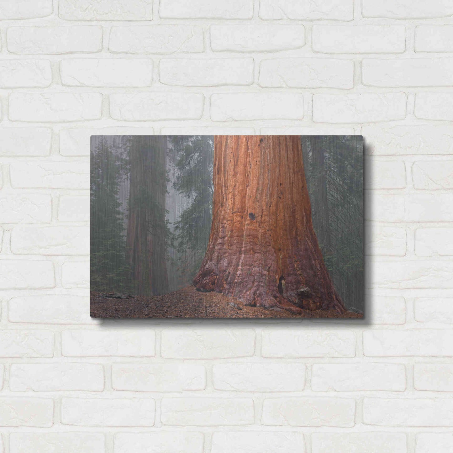 Luxe Metal Art 'Kings Canyon' by Mike Jones, Metal Wall Art,24x16