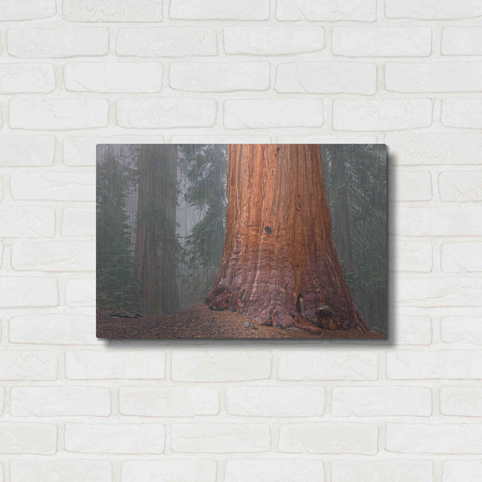 Luxe Metal Art 'Kings Canyon' by Mike Jones, Metal Wall Art,24x16
