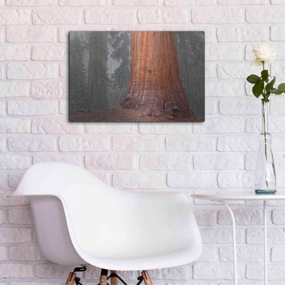 Luxe Metal Art 'Kings Canyon' by Mike Jones, Metal Wall Art,24x16