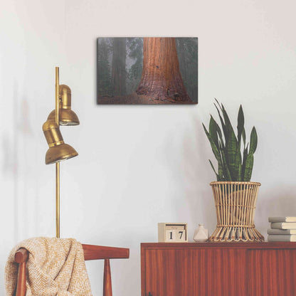 Luxe Metal Art 'Kings Canyon' by Mike Jones, Metal Wall Art,24x16