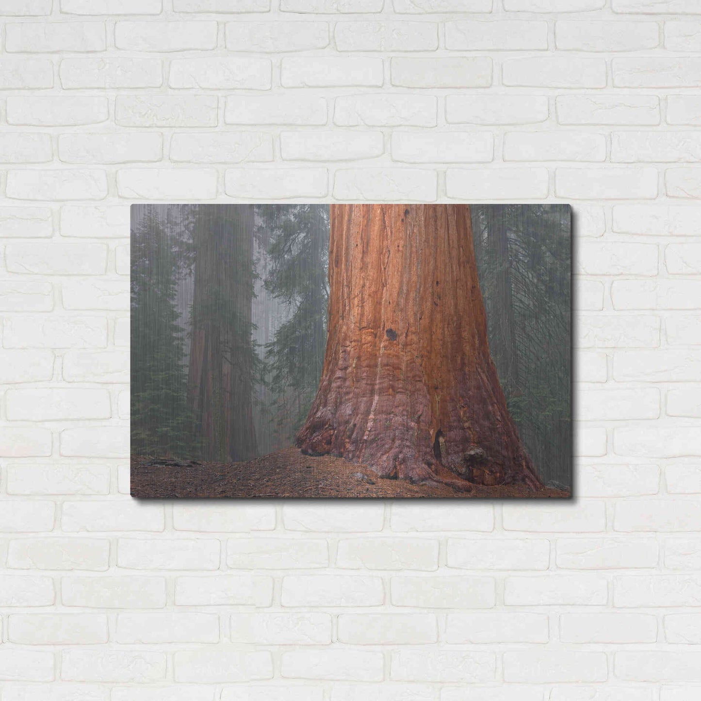 Luxe Metal Art 'Kings Canyon' by Mike Jones, Metal Wall Art,36x24