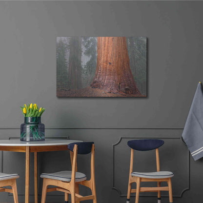 Luxe Metal Art 'Kings Canyon' by Mike Jones, Metal Wall Art,36x24