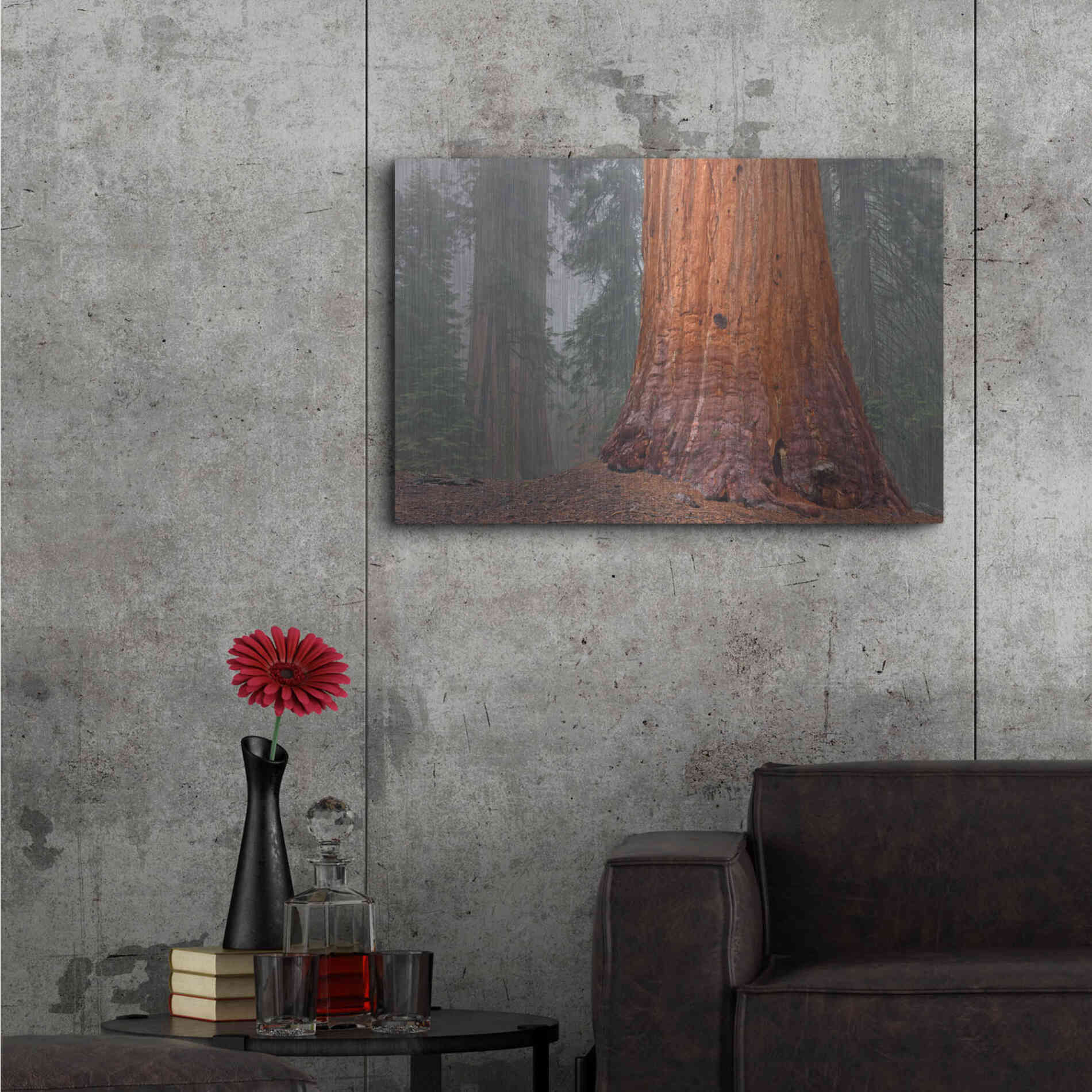 Luxe Metal Art 'Kings Canyon' by Mike Jones, Metal Wall Art,36x24