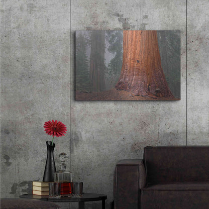 Luxe Metal Art 'Kings Canyon' by Mike Jones, Metal Wall Art,36x24