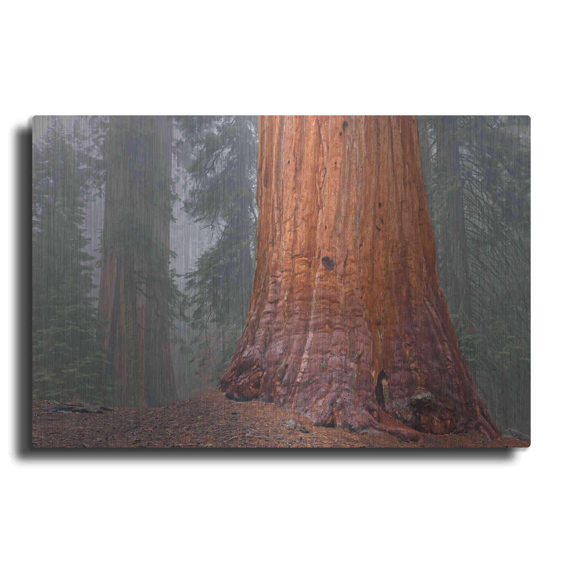 Luxe Metal Art 'Kings Canyon' by Mike Jones, Metal Wall Art