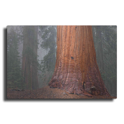 Luxe Metal Art 'Kings Canyon' by Mike Jones, Metal Wall Art