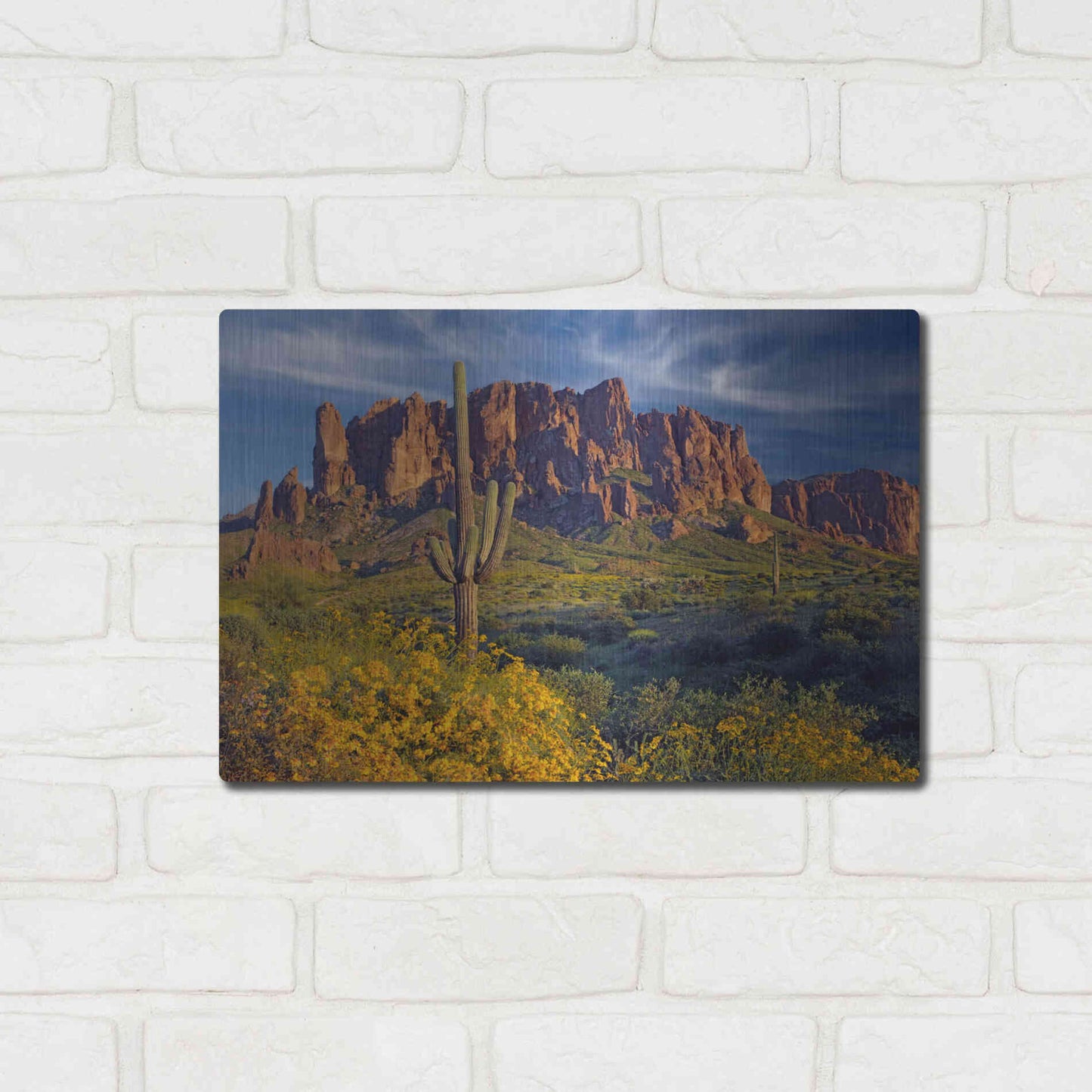 Luxe Metal Art 'Lost Dutchman flowers' by Mike Jones, Metal Wall Art,16x12